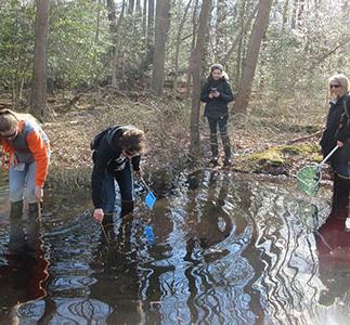 Photo of students participating in vernal pond study.